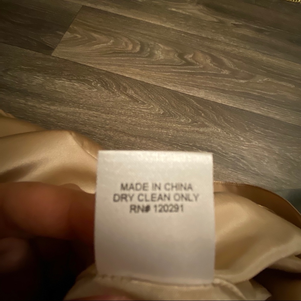 Michelle Mason Nude Silk Revolve Dress NWT - Picture 5 of 8